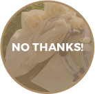 No Bag Required